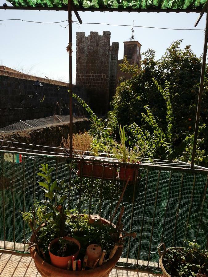 Relax Dal Caos Di Citta Apartamento Barbarano Romano Exterior foto